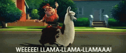 Carl Carlwheezer Llama GIF