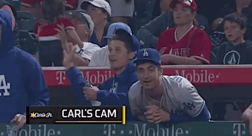 Carl 'S Cam Is Shown On The Screen During A Game GIF