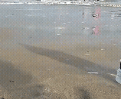 Carlonz Air Land Sea Water Bottle Splash GIF