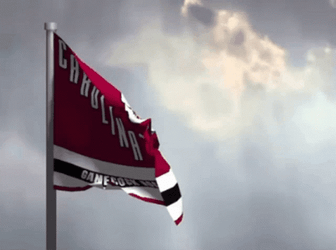 Carolina Gamecocks Hockey Flag GIF