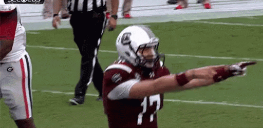 Carolina Gamecocks In Hype GIF