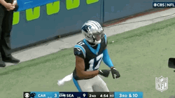 Carolina Panthers GIF
