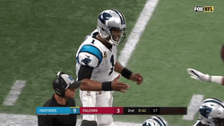 Carolina Panthers Cam Newton And Devin Funchess GIF