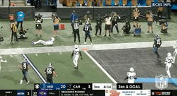 Carolina Panthers DJ Chark Jr Touchdown GIF