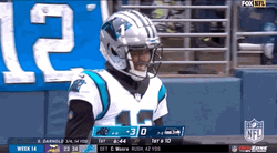 Carolina Panthers Shi Smith Touchdown GIF
