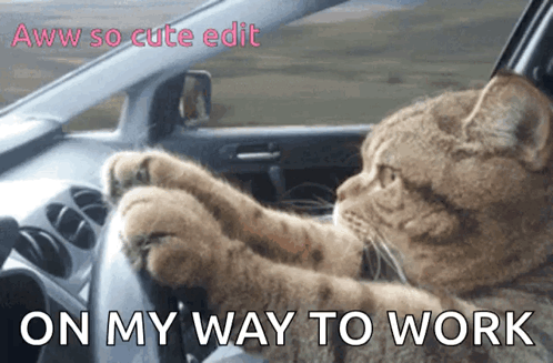 Cars Driving Down Street With Headin Home Now GIF