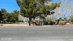 Cars Lowrider GIF