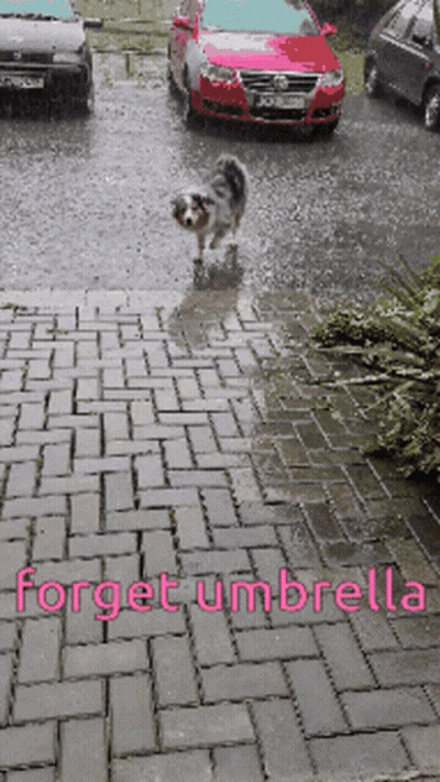 Cars With 100 Percent Chance Of Thunder GIF