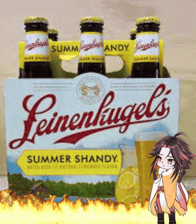 Carton Of Leinenkugel's Summer Shandy Beer GIF