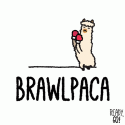 Cartoon Alpacas Brawl GIF