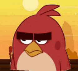 Cartoon Angry Birds Red Eye Roll  GIF