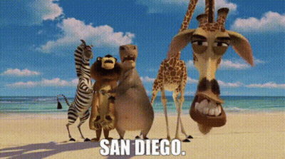 Cartoon Animals On Beach Saying San Diego GIF