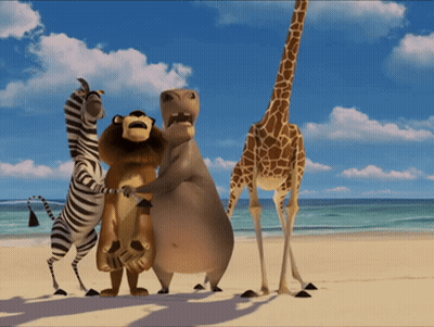 Cartoon Animals Standing On Beach GIF