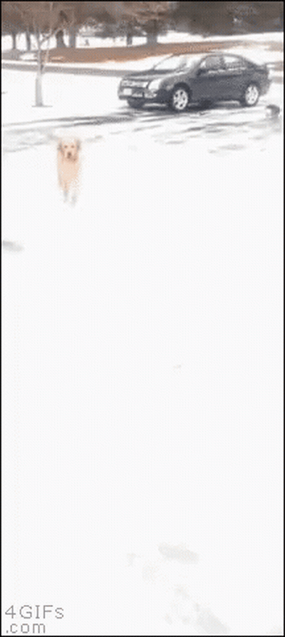 Cartoon Apple With Microphone GIF
