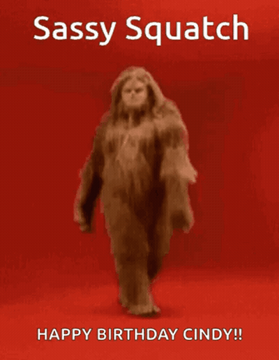 Cartoon Bear Sitting With Food And Sauce GIF