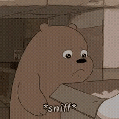 Cartoon Bear Sniffing Box GIF