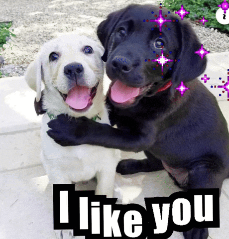 Cartoon Bear Surrounded By Hearts Big Sunday Hugs GIF
