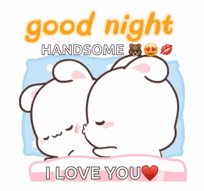 Cartoon Bears Saying Good Night Handsome I Love You GIF