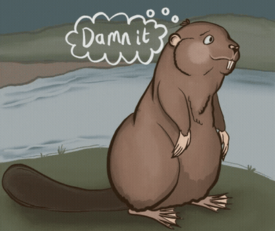 Cartoon Beaver Saying Dammit GIF