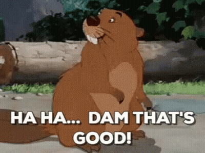 Cartoon Beaver Saying Ha Ha Dam GIF