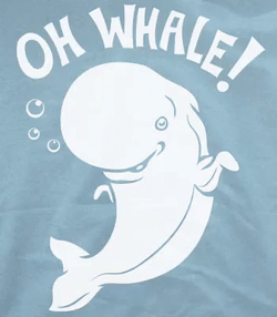 Cartoon Beluga Greetings GIF