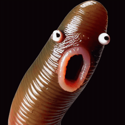 Cartoon Bird Eating Worm GIF