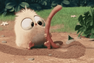 Cartoon Bird Eating Worm GIF