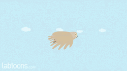 Cartoon Bird Flying GIF
