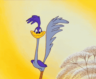 Cartoon Bird I Just Don't Have The Heart GIF