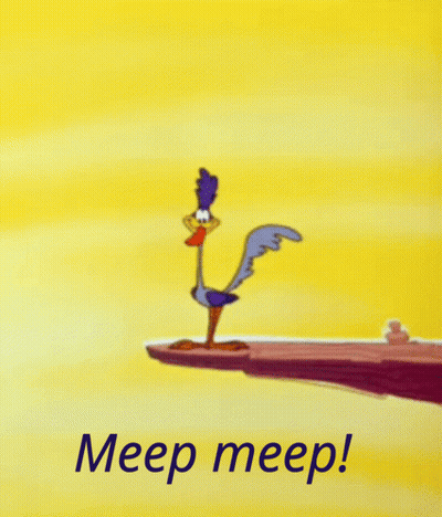 Cartoon Bird On Cliff Saying Meep Meep GIF