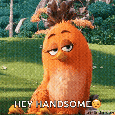Cartoon Bird Saying Hey Handsome Sitting On Grass GIF