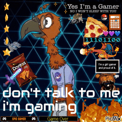 Cartoon Bird With Bag Of Doritos Chips GIF