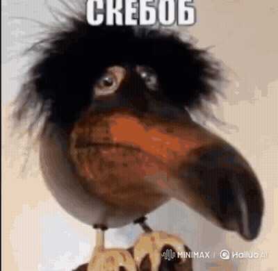 Cartoon Bird With Long Beak and Big Head