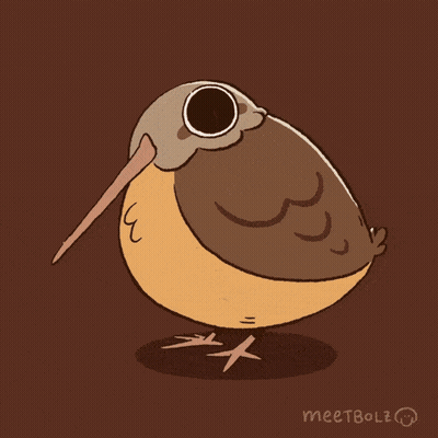 Cartoon Bird With Long Beak Saying Where Is Wife GIF