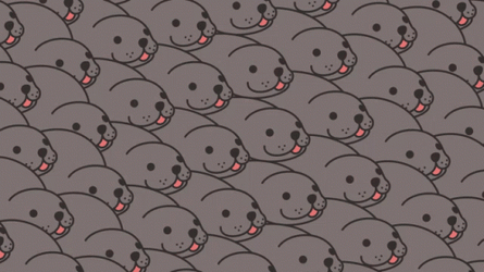 Cartoon Bouncing Seals On The Go GIF