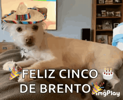 Cartoon Boy Holding Food Box Happy Children's Day GIF