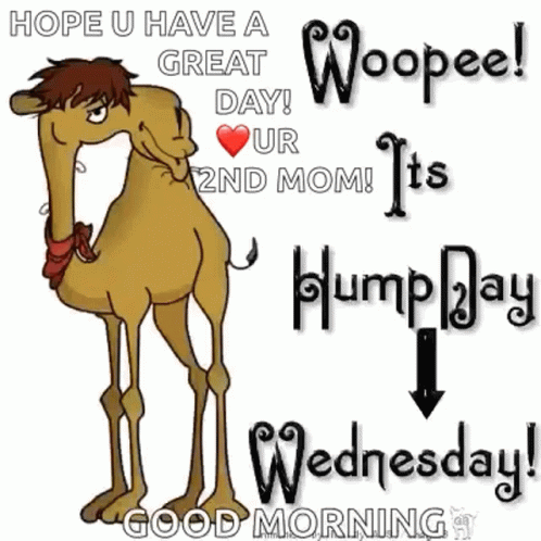 Cartoon Camel Next To Sign Hope U Have A Great Day GIF