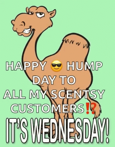 Cartoon Camel Says Happy Hump Day To All My Scentsy Customers GIF