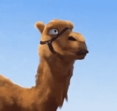 Cartoon Camel With Bridle Looking Up GIF