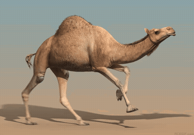 Cartoon Camel With Red Mouth GIF
