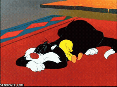 Cartoon Cat And Yellow Chicken Laying On Red Rug GIF