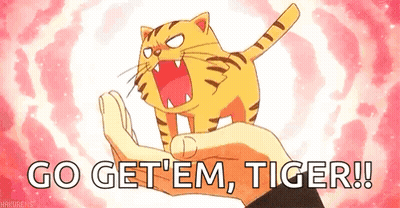Cartoon Cat Being Held With Go Get Em Tiger GIF