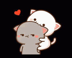 Cartoon Cat Bites Head GIF