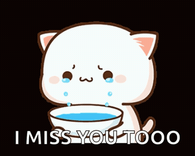 Cartoon Cat Crying Holding Bowl Of Water GIF