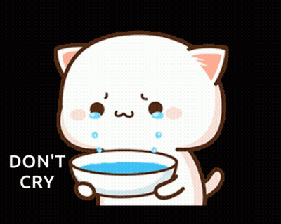 Cartoon Cat Crying Holding Bowl Saying Don't Cry GIF