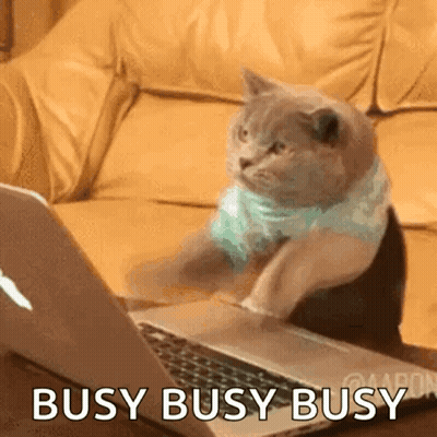 Cartoon Cat Drinking Bubble Tea GIF