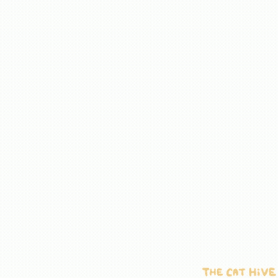 Cartoon Cat Driving Car Your Ride Is Outside GIF