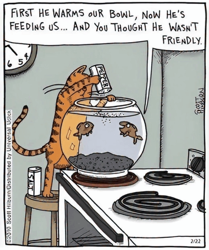 Cartoon Cat Feeding Bowl Of Fish First He Warms Our Bowl Now He's Feeding Us GIF