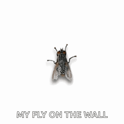 Cartoon Cat Flying In Purple Dress GIF