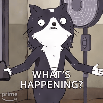Cartoon Cat Holding Cell Phone Saying What's Happening GIF
